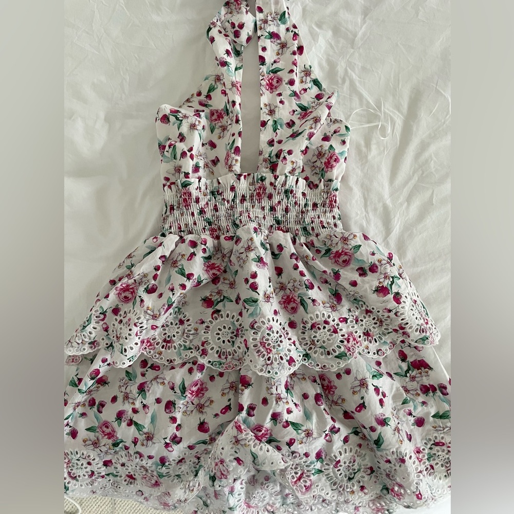 BB Dakota Strawberry Bliss Dress